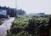 1988年9月7日 東葛辻仲病院開設